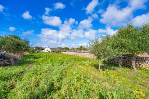 Land plot for sale Sant Lluis, Menorca, Spain 36 sq.m. No. 127934 - photo 1