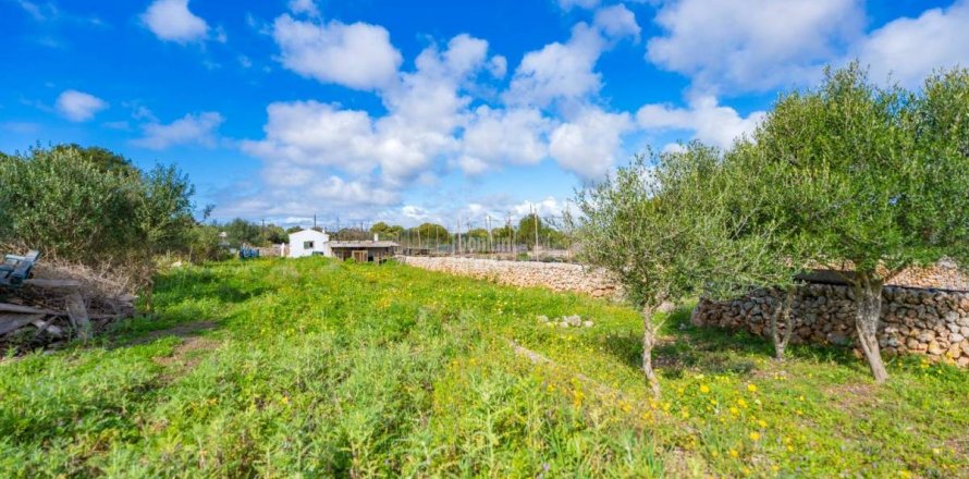 Land plot Sant Lluis, Menorca, Spain 36 sq.m. No. 127934