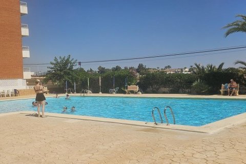 Apartment for sale Punta Prima, Alicante, Spain 2 bedrooms, 95 sq.m. No. 126935 - photo 16