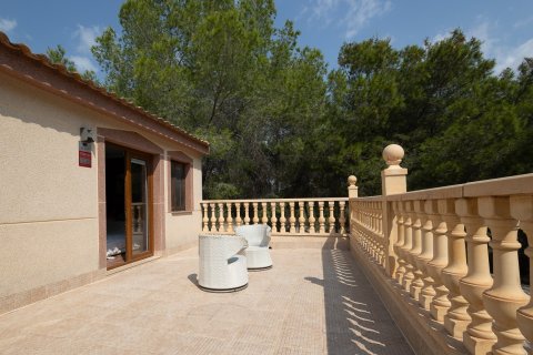 Finca myytävänä Torremendo, Alicante, Espanja, 4 makuuhuonetta, 220 m2 No. 131820 - kuva 30