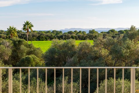 Finca en venta en La Rapita, Mallorca, España 5 dormitorios, 820 m2 No. 128103 - foto 26