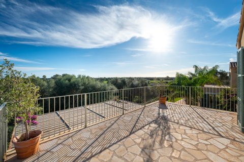 Finca en venta en La Rapita, Mallorca, España 5 dormitorios, 820 m2 No. 128103 - foto 25