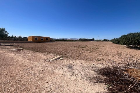 Finca à vendre Daya Nueva, Alicante, Espagne, 2 chambres, 100 m2 No. 125031 - photo 29