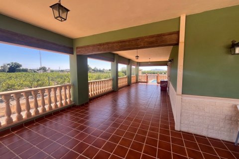 Finca à vendre Daya Nueva, Alicante, Espagne, 2 chambres, 100 m2 No. 125031 - photo 2