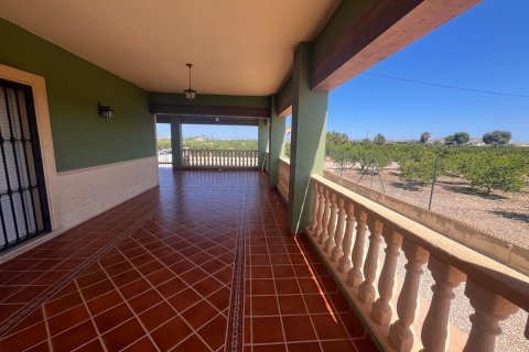 Finca à vendre Daya Nueva, Alicante, Espagne, 2 chambres, 100 m2 No. 125031 - photo 5