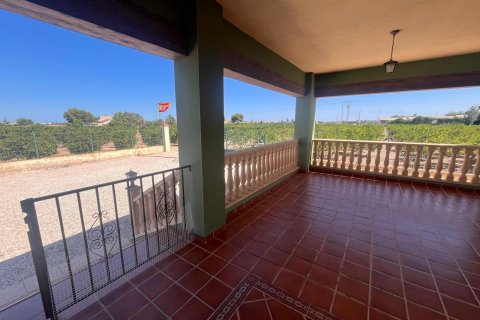 Finca à vendre Daya Nueva, Alicante, Espagne, 2 chambres, 100 m2 No. 125031 - photo 8