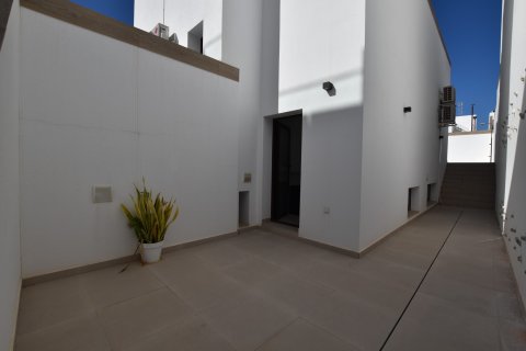 Villa pārdošanā Benijofar, Alicante, Spānijā 3 istabas, 175 m2 Nr. 125029 - attēls 28