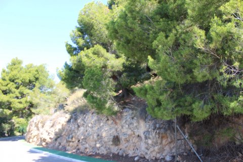 Land plot for sale Altea, Alicante, Spain 908 sq.m. No. 129221 - photo 6