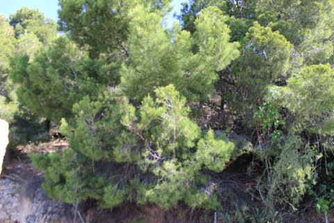 Land plot for sale Altea, Alicante, Spain 908 sq.m. No. 129221 - photo 4