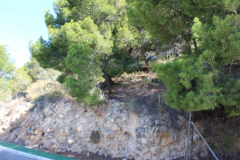 Land plot for sale Altea, Alicante, Spain 908 sq.m. No. 129221 - photo 8