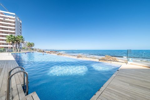 Apartament Punta Prima, Alicante, Hiszpania 2 sypialnie, 80 mkw. nr 125926 – zdjęcie 16