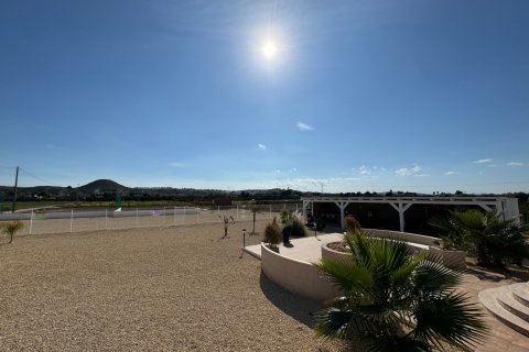 Villa pārdošanā Rojales, Alicante, Spānijā 6 istabas, 240 m2 Nr. 125927 - attēls 9