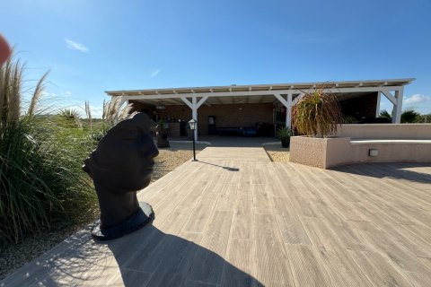 Villa pārdošanā Rojales, Alicante, Spānijā 6 istabas, 240 m2 Nr. 125927 - attēls 19