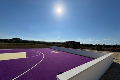 Villa pārdošanā Rojales, Alicante, Spānijā 6 istabas, 240 m2 Nr. 125927 - attēls 23