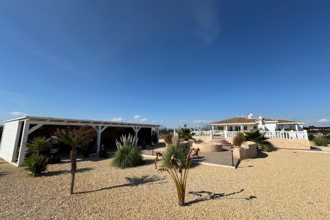 Villa pārdošanā Rojales, Alicante, Spānijā 6 istabas, 240 m2 Nr. 125927 - attēls 28