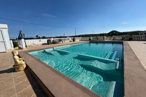 Villa pārdošanā Rojales, Alicante, Spānijā 6 istabas, 240 m2 Nr. 125927 - attēls 16