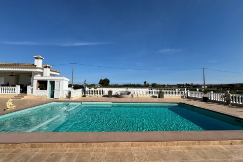Villa pārdošanā Rojales, Alicante, Spānijā 6 istabas, 240 m2 Nr. 125927 - attēls 14