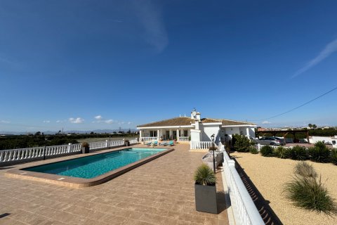 Villa pārdošanā Rojales, Alicante, Spānijā 6 istabas, 240 m2 Nr. 125927 - attēls 11