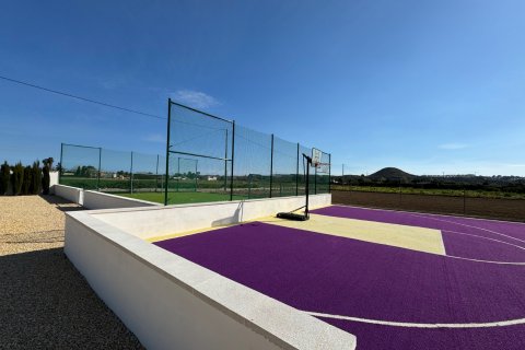 Villa pārdošanā Rojales, Alicante, Spānijā 6 istabas, 240 m2 Nr. 125927 - attēls 22