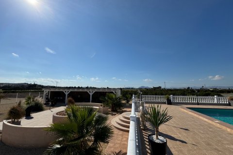 Villa pārdošanā Rojales, Alicante, Spānijā 6 istabas, 240 m2 Nr. 125927 - attēls 8