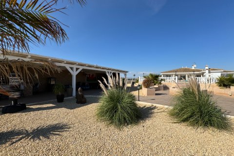 Villa pārdošanā Rojales, Alicante, Spānijā 6 istabas, 240 m2 Nr. 125927 - attēls 20