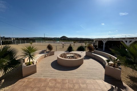 Villa pārdošanā Rojales, Alicante, Spānijā 6 istabas, 240 m2 Nr. 125927 - attēls 10