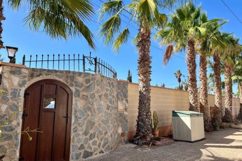 Villa à vendre Torrevieja, Alicante, Espagne, 6 chambres, 344 m2 No. 128663 - photo 17