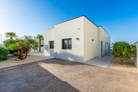 Villa à vendre Benijofar, Alicante, Espagne, 4 chambres, 150 m2 No. 125911 - photo 23