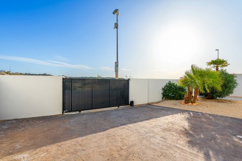 Villa à vendre Benijofar, Alicante, Espagne, 4 chambres, 150 m2 No. 125911 - photo 24