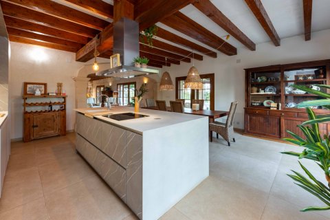 Finca for rent Llubi, Mallorca, Spain 5 bedrooms, 451 sq.m. No. 120134 - photo 17