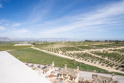 Villa zum Verkauf Algorfa, Alicante, Spanien 6 Schlafzimmer, 436 m2 Nr. 121516 - Foto 23
