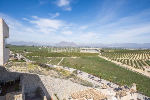 Villa for sale in Algorfa, Alicante, Spain 6 bedrooms, 436 sq.m. No. 121516 - photo 22