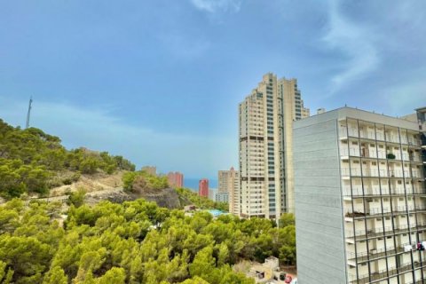 Appartamento in vendita Benidorm, Alicante, Spagna 2 camere da letto, 86 mq. N° 125598 - foto 22