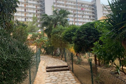 Appartamento in vendita Benidorm, Alicante, Spagna 2 camere da letto, 86 mq. N° 125598 - foto 20