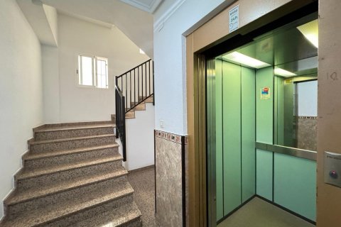 Apartamento en venta Torrevieja, Alicante, España 4 dormitorios, 105 m2 No. 125995 - foto 11