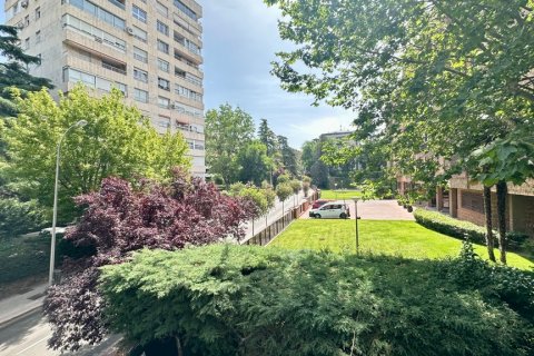 Apartament Madrid, Hiszpania 4 sypialnie, 140 mkw. nr 122221 – zdjęcie 23