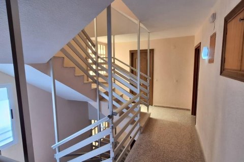 Dzīvoklis pārdošanā La Mata, Alicante, Spānijā 2 istabas, 100 m2 Nr. 130598 - attēls 28