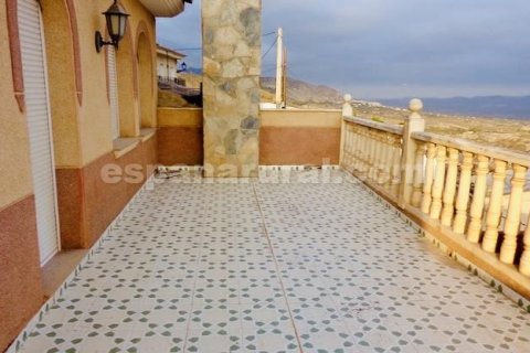 House à vendre Lucar, Almeria, Espagne, 6 chambres, 300 m2 No. 131455 - photo 17