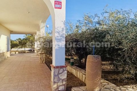 Villa in vendita Cuevas del Almanzora, Almeria, Spagna 3 camere da letto, 369 mq. N° 131456 - foto 4