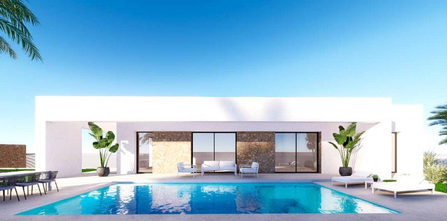Willa Benidorm, Alicante, Hiszpania 3 sypialnie, 144 mkw. nr 123272