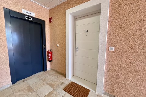 Huoneisto myytävänä Guardamar del Segura, Alicante, Espanja, 3 makuuhuonetta, 102 m2 No. 125496 - kuva 22