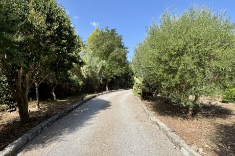 Finca myytävänä Pollenca, Mallorca, Espanja, 3 makuuhuonetta, 218 m2 No. 129596 - kuva 30
