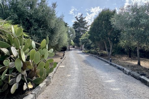 Finca myytävänä Pollenca, Mallorca, Espanja, 3 makuuhuonetta, 218 m2 No. 129596 - kuva 29
