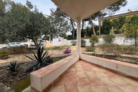 Dzīvoklis īrēšanai Santa Ponsa, Mallorca, Spānijā 2 istabas, 80 m2 Nr. 129594 - attēls 11