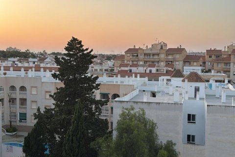 Takvåning till salu Torrevieja, Alicante, Spanien 120 kvm. Nr. 129549 - foto 25