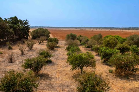 Finca zum Verkauf Santanyi, Mallorca, Spanien 10 Schlafzimmer, 1216 m2 Nr. 131004 - Foto 30