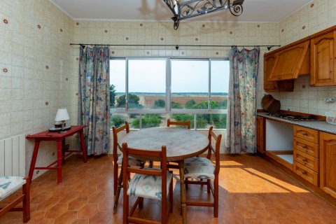 Finca zum Verkauf Santanyi, Mallorca, Spanien 10 Schlafzimmer, 1216 m2 Nr. 131004 - Foto 22