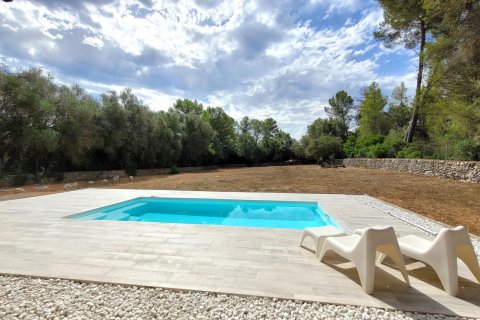 Finca for rent Sineu, Mallorca, Spain 4 bedrooms, 272 sq.m. No. 131005 - photo 2
