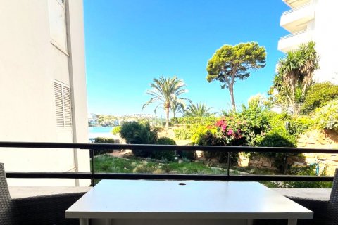 Apartamento en alquiler Santa Ponsa, Mallorca, España 2 dormitorios, 64 m2 No. 131008 - foto 15