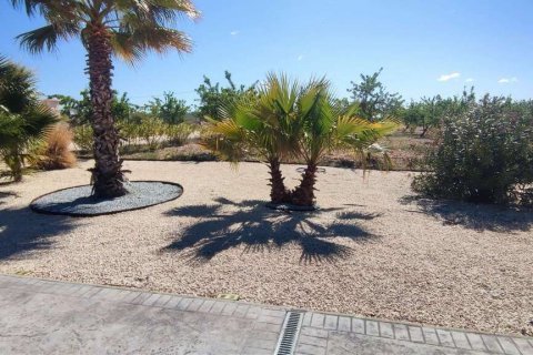 Villa zum Verkauf Pinoso, Alicante, Spanien 4 Schlafzimmer, 315 m2 Nr. 124989 - Foto 6